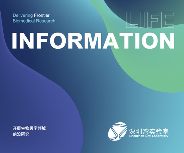 品牌塑造：上海品牌設(shè)計(jì)公司為初創(chuàng)企業(yè)邁出最重要的一步